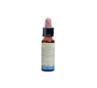 Laboratorio Erboristico Di Leo FIORI DI BACH 35 WHITE CHESTNUT 10 ML DI LEO