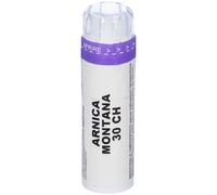 LABORATORIO SODINI Arnica Montana 80 Granuli 30 Ch Contenitore Multido