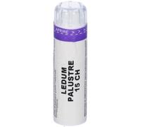 laboratorio sodini Ledum palustre 15ch 80gr 4g