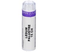 Ledum Palustre 80 Granuli 15 Ch Contenitore Multidose Da 4 G