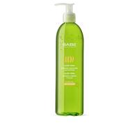 Laboratorios Babé - Gel di Aloe Vera Puro 395 ml | Rinfrescante, Idratante, Lenitivo e Rigenerante | Ideale per Esposizione Solare, Rasatura, Depilazione e Trattamenti Medico-Estetici