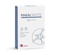 PINEAL NOTTE 24CPR