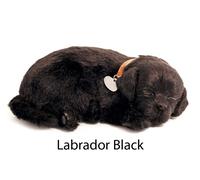 Labrador Black - Il cucciolo che respira - PERFECT PETZZZ