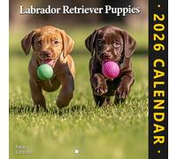 Labrador Calendar 2026: A year of friendly faces and everyday joy