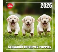 Labrador Calendar 2026: A year of friendly faces and everyday joy