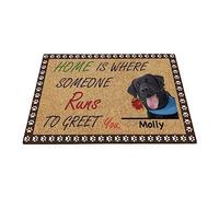Labrador, Cane Divertente Personalizzato Con Rosa, Regalo Labrador La Casa È Dove Qualcuno Corre A Salutarti Zerbino Di Benvenuto Divertenti Tappetino Da Bagno Tappetini Porta Dingresso 40X60Cm