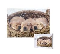 Labrador Cuccioli Golden Retriever,Puzzle in legno da 1000 pezzi per famiglie, puzzle per adulti e adolescenti