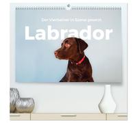 Labrador - Der Vierbeiner in Szene gesetzt. (hochwertiger Premium Wandkalender 2026 DIN A2 quer), Kunstdruck in Hochglanz: Erleben Sie die besten Bilder von Labradoren.