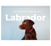 Labrador - Der Vierbeiner in Szene gesetzt. (Tischkalender 2026 DIN A5 quer), CALVENDO Monatskalender: Erleben Sie die besten Bilder von Labradoren.