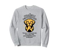 Labrador Golden Retriever Divertente Attualmente non supervisionato Felpa