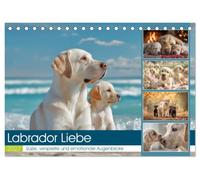 Labrador Liebe (Tischkalender 2027 DIN A5 quer), CALVENDO Monatskalender: Dieser Kalender zeigt die schönsten, lustigsten und berührendsten Momente mit Labradoren.