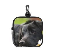 Labrador nero Camomilla Retriever nero Cani,Borsa portaoggetti quadrata con cerniera, portamonete in neoprene, portafogli piccoli, astuccio per monete, portamonete