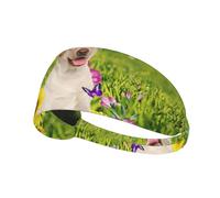 Labrador On The Grass Fasce sportive per donna e uomo, fasce elastiche per capelli, fasce antiscivolo alla moda per yoga, fitness e corsa