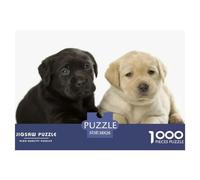 Labrador Retriever 1000 pezzi per adulti e bambini: due cuccioli di labrador (nero e giallo) sdraiati insieme, giochi educativi adatti alla decompressione, 38x26 cm/1000 pezzi