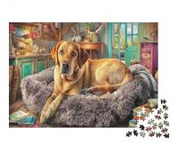 Labrador Retriever 1000 Piece for Adults Kids Labrador on Fur Rug Fun Present Activity for Home Wall Decor 38x26cm/1000pcs