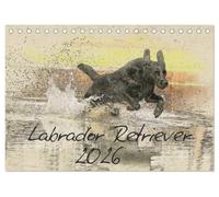 Labrador Retriever 2026 (Tischkalender 2026 DIN A5 quer), CALVENDO Monatskalender: Labradorkalender im kunstvollen Aquarell-Stil. Wer außergewöhnliche ... gleicht jedes Motiv einem kleinen Kunstwerk