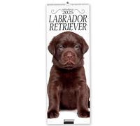 Labrador Retriever. Calendario 2025. Long