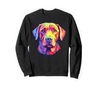 Labrador Retriever colorato Felpa