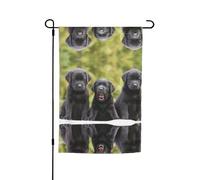 Labrador Retriever Dog Pavilion bandiere con motivi, adatto per giardino, balcone e decorazione patio.