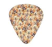Labrador Retriever Dog plettri per chitarra - Accessori per chitarra - Plettri per chitarra acustica Chitarra elettrica basso per uomo donna Chitarrista professionista musicisti e principianti
