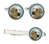 Labrador Retriever I set di mollette in una scatola con immagine Art-Dog