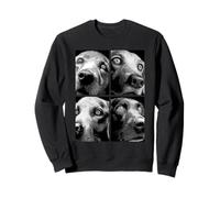 Labrador Retriever ipnotico Strano Occhi Strani Halloween Felpa