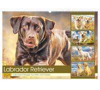 Labrador Retriever. Labrador-Magie für Herz und Seele (Wandkalender 2026 DIN A2 quer), CALVENDO Monatskalender: Diese Hunde zeigen ihre Lebensfreude und Schönheit in stimmungsvollen Naturmomenten