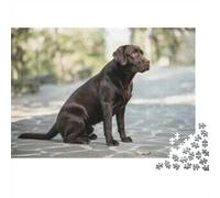 Labrador Retriever Puzzle Impossibili 1000Pcs Black Lab Sitting on Stone Pavement Decorazione Per La Casa. Giochi Rilassamento E Intelligence Per Adulti E Bambini Da 12 Anni 52x38cm/1000pcs