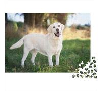 Labrador Retriever Puzzle Impossible 1000 Pezzi Yellow Lab Standing in Grassy Field Decorazione Per La Casa. Giochi Rilassamento E Intelligence Per Adulti E Bambini Da 12 Anni 52x38cm/1000pcs