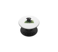 Labrador Retriever Seduto Verde Erba Natura Arte PopSockets PopGrip Adesivo