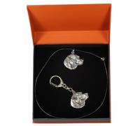 Labrador Retriever - Set - Il Cane IN Der Arance Scatola Art Dog