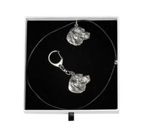 Labrador Retriever - Set - Il Cane IN Der Weißen Scatola Art Dog