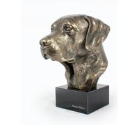 Labrador Retriever Testa Su Pietra Art-Dog