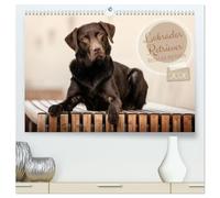 Labrador Retriever - Vielfalt auf Vier Pfoten (hochwertiger Premium Wandkalender 2026 DIN A2 quer), Kunstdruck in Hochglanz: Der Labrador Retriever, ... und Arbeitshund in seiner ganzen Vielfalt.