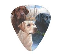 Labrador Retrievers Plettri per chitarra Set da 12 pezzi per chitarra acustica, chitarra elettrica, contrabbasso, ukulele