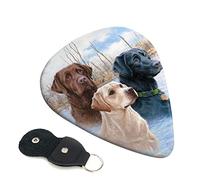 Labrador Retrievers Plettro per chitarra Set da 6 pezzi per chitarra acustica, chitarra elettrica, basso, ukulele - sottile, medio e spesso