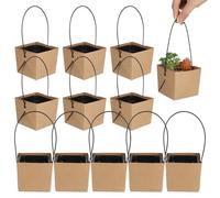 LABRIMP Set da 12 Vasi per Piante Succulente in Plastica con Fori di Drenaggio, Borsa in Carta Kraft con Manico, per Decorazioni Domestiche e Bomboniere