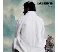 Labrinth Imagination & the Misfit Kid (Vinyl LP) 12" Album