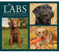 Labs 2027 Box