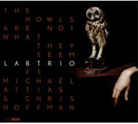 Labtrio The Owls Are Not What They Seem (CD) Album