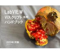 LabVIEW VIスクリプト活用ハンドブック: LabVIEWでVIを自動でつくる