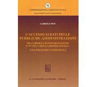 L'accesso ai dati delle pubbliche amministrazioni. Tra libertà di informazione e tutela della riservatezza. Una indagine comparata