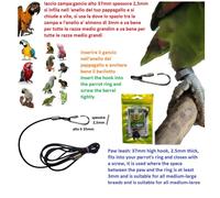 LACCIO ZAMPA 2 5 10m elastico 2,5 MM GANCIO A VITE 2,5MM pappagalli volo libero