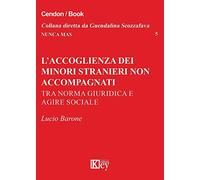 L'accoglienza dei minori stranieri non accompagnati. Tra norma giuridica e agire sociale