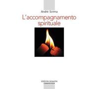 L' accompagnamento spirituale. Il movimento del Roveto ardente e la rinascita esicasta in Romania