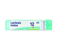 Lachesis Mutus 12 Ch Tubo 2020