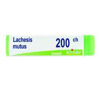 BO.LACHESIS MUT.Dose 200CH