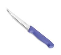 LACOR - 38381 - Coltello multiuso Select, Prodotti Senza Allergeni Coltello, Acciaio Inossidabile, Taglio Deciso ed Equilibrato, Manico Ergonomico in TPV Viola e Antiscivolo, 12,5 cm