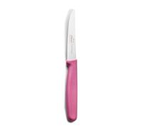 Lacor 39237 - Coltello per bistecca sterna, bordo seghettato | Utensile professionale duraturo; progettato per prestazioni ottimali e una pulizia rapida in lavastoviglie