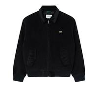 Lacoste - Giacca Bomber in Velluto a Coste - - Jackets - Uomo - Nero - XL